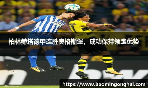 B体育bsports