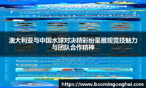 B体育bsports