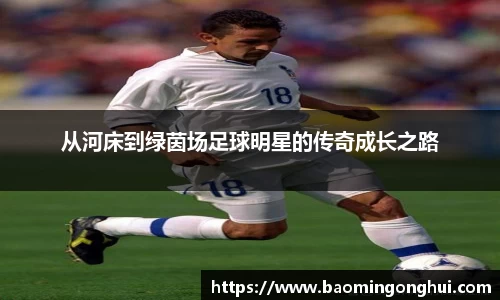 bsports官网入口